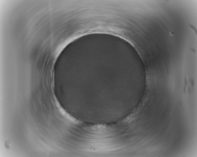 X0000102291515200808151940