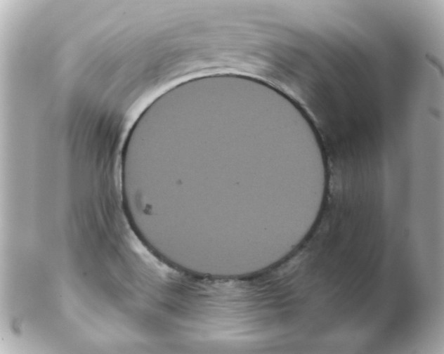 X0000102291516200808151940