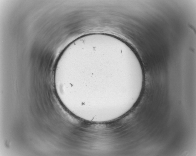 X0000102291517200808151940