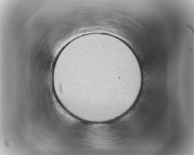 X0000102291518200808151940