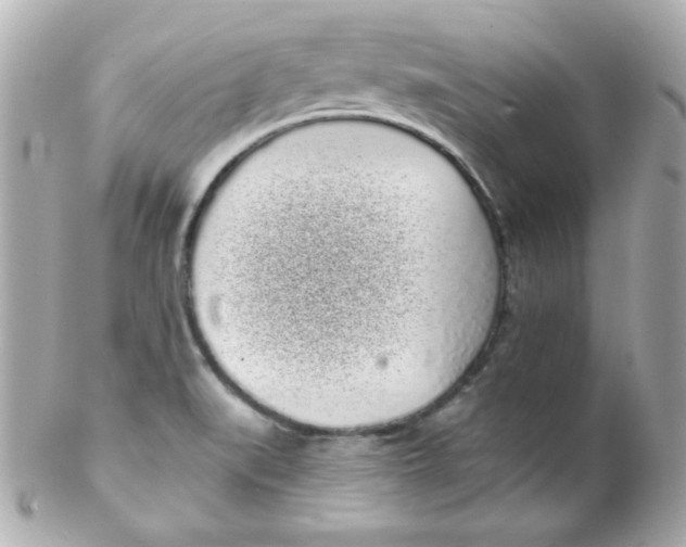 X0000102291519200808151940