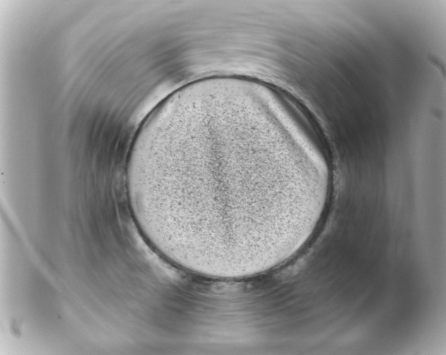 X0000102291521200808151940