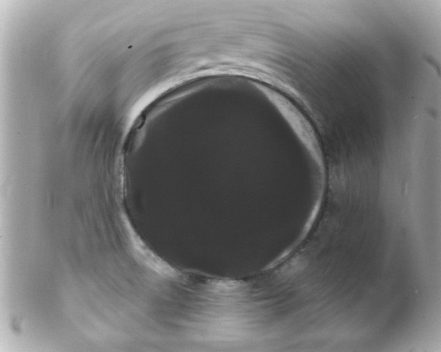 X0000102291522200808151940