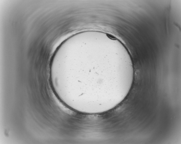 X0000102291523200808151940