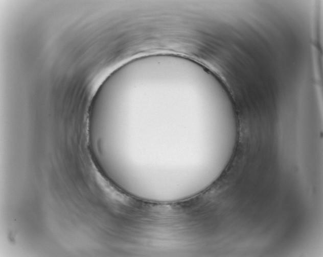 X0000102291524200808151940