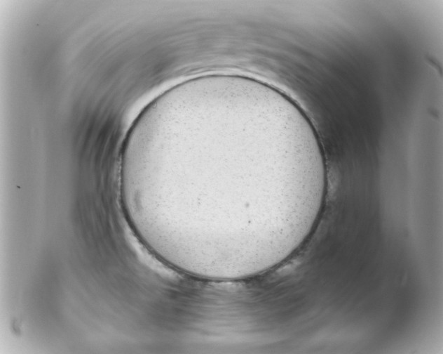 X0000102291526200808151940