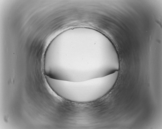 X0000102291528200808151940