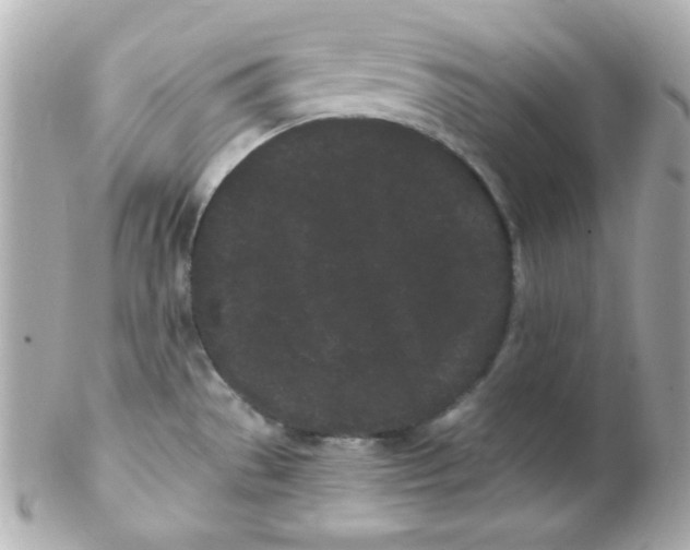 X0000102291529200808151940