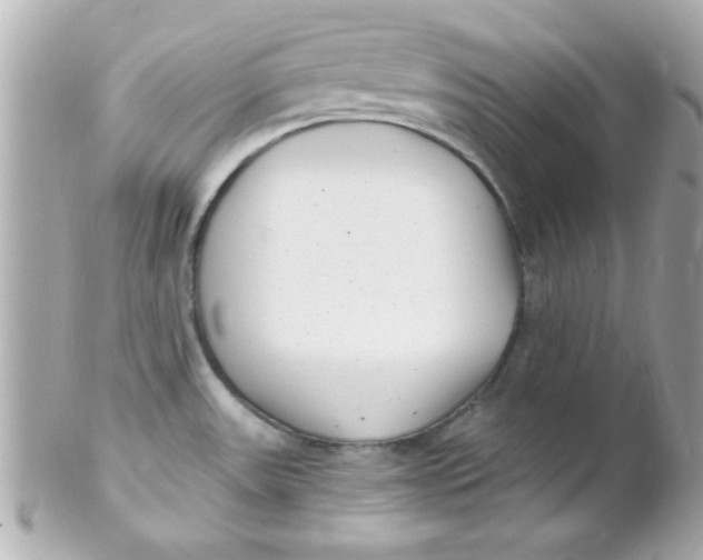 X0000102291531200808151940