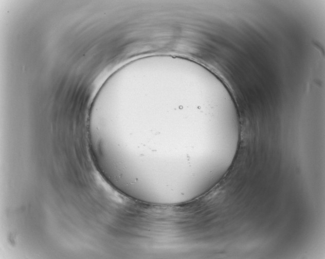 X0000102291532200808151940