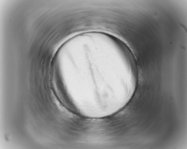 X0000102291534200808151940