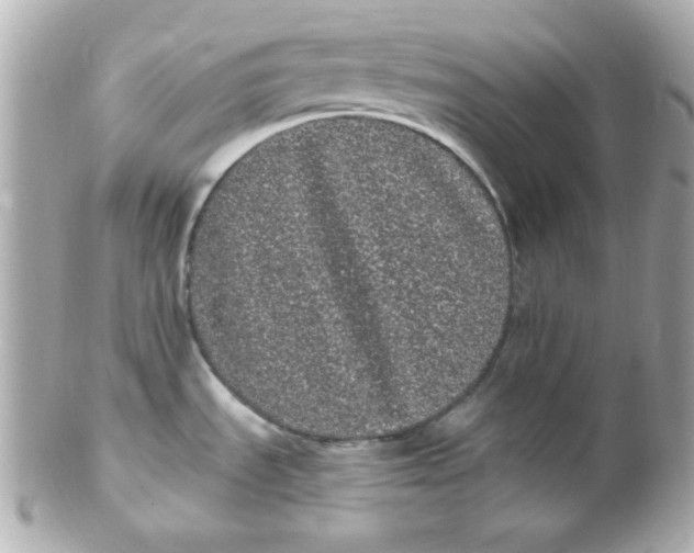 X0000102291535200808151940