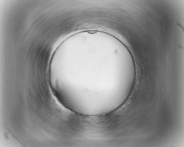 X0000102291536200808151940