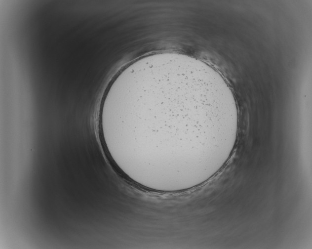 X0000102290003200808221406