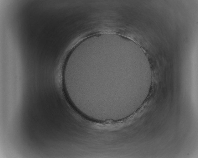 X0000102290005200808221406