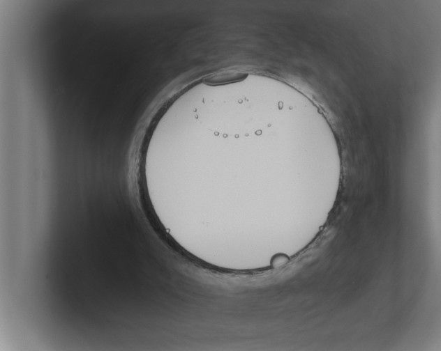 X0000102290007200808221406