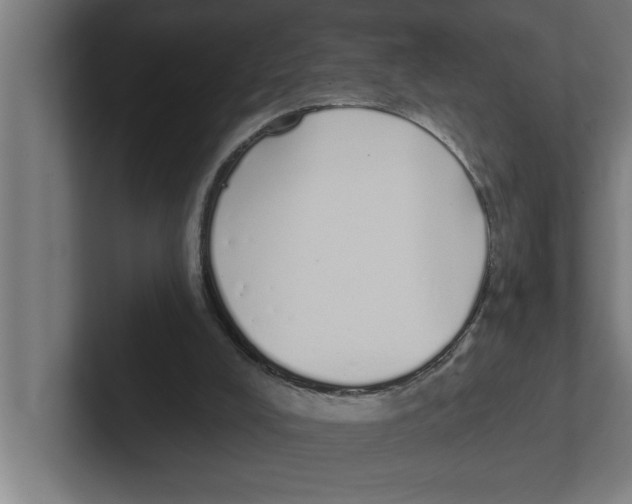 X0000102290008200808221406