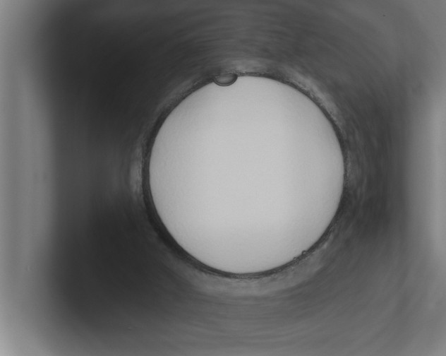 X0000102290010200808221406