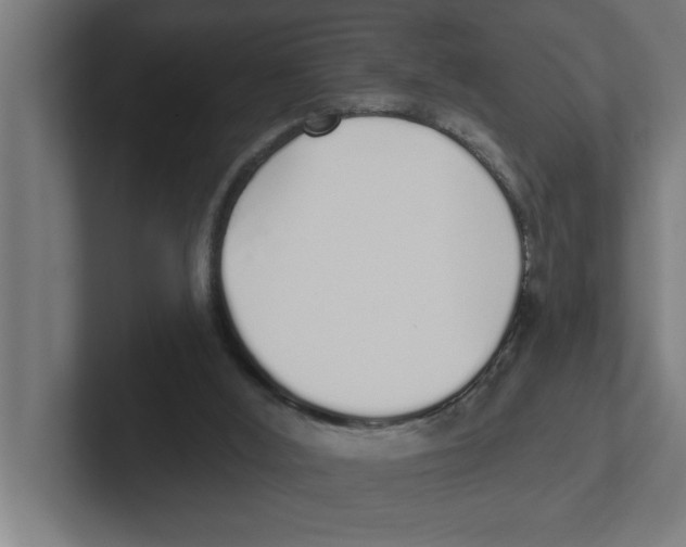 X0000102290012200808221406