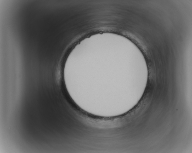 X0000102290016200808221406