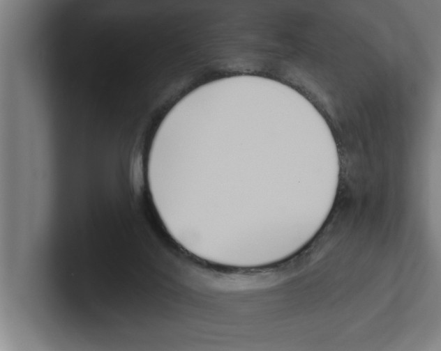 X0000102290020200808221406