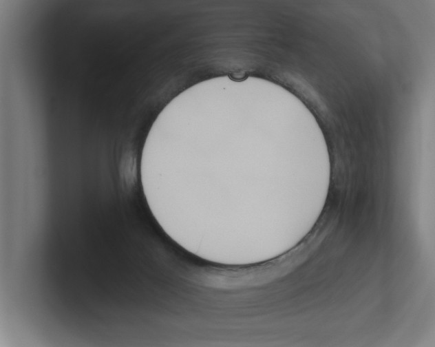 X0000102290021200808221406