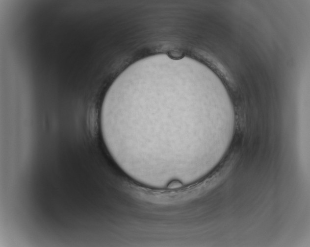 X0000102290022200808221406