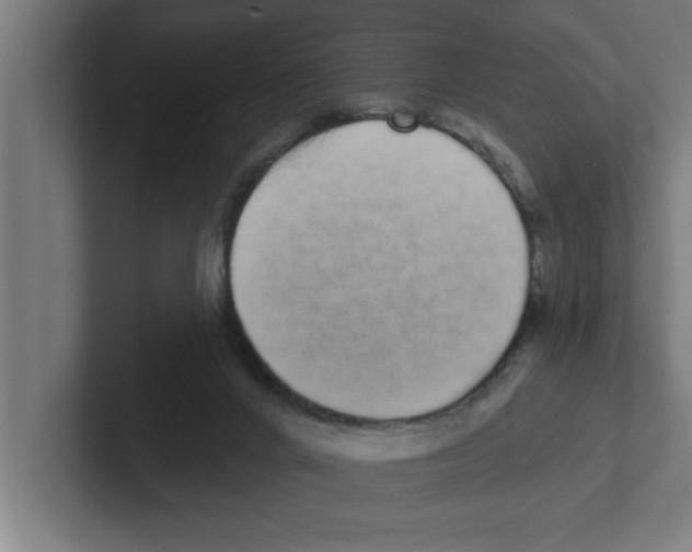 X0000102290024200808221406