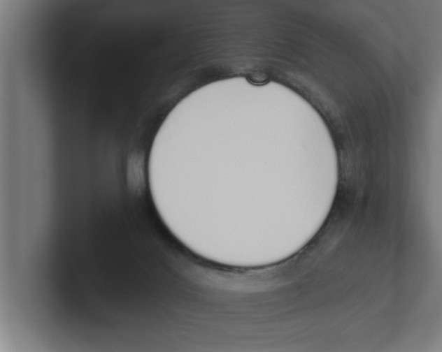 X0000102290028200808221406