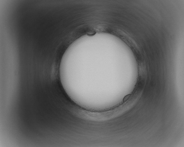 X0000102290030200808221406