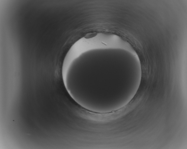 X0000102290035200808221406