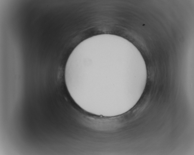 X0000102290036200808221406