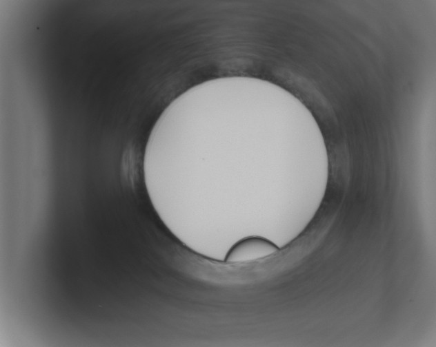 X0000102290038200808221406