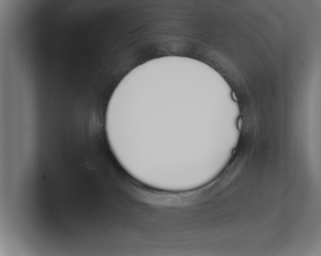 X0000102290040200808221406