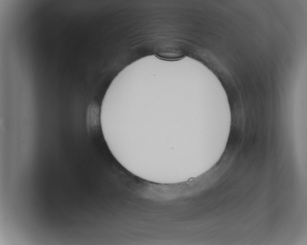 X0000102290041200808221406