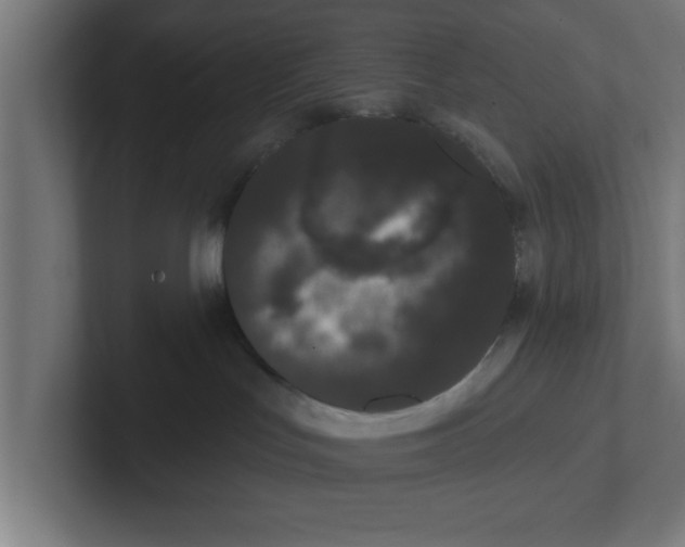 X0000102290047200808221406