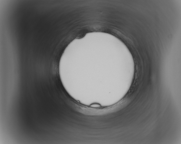 X0000102290048200808221406