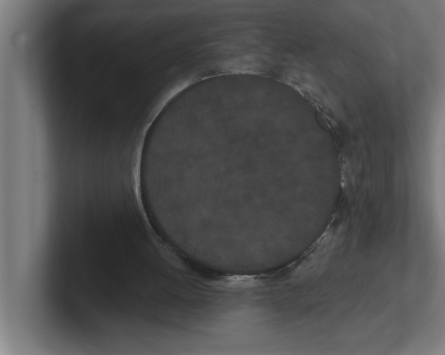 X0000102290052200808221405