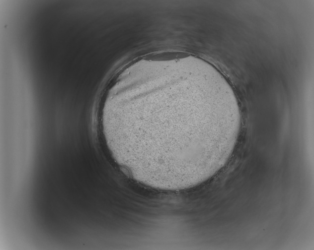 X0000102290053200808221405