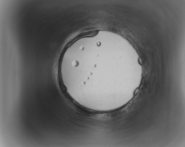 X0000102290054200808221405