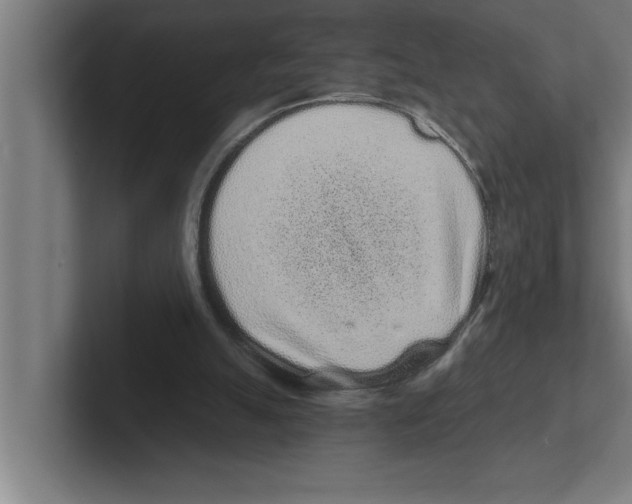 X0000102290055200808221405