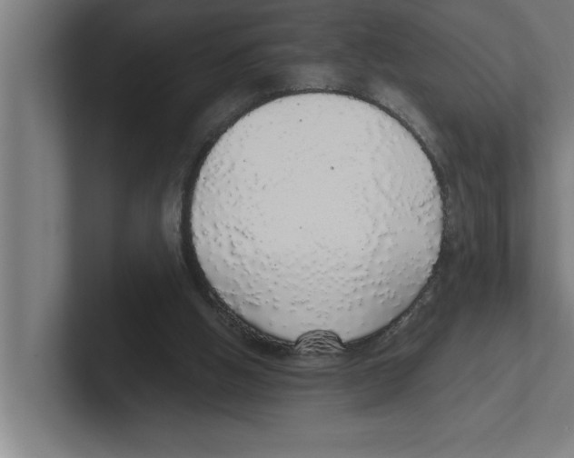 X0000102290058200808221405