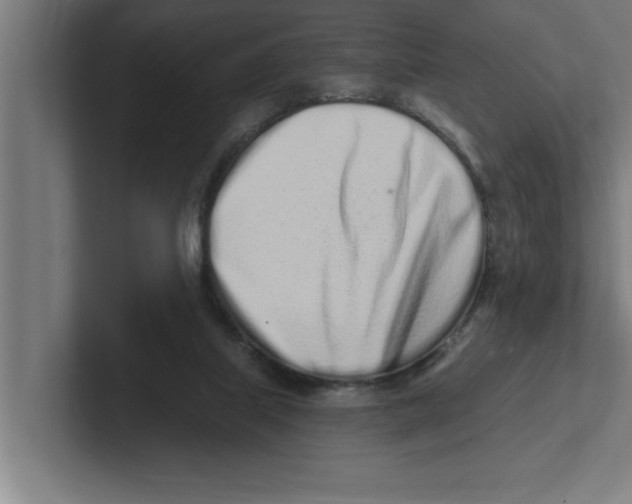 X0000102290067200808221405