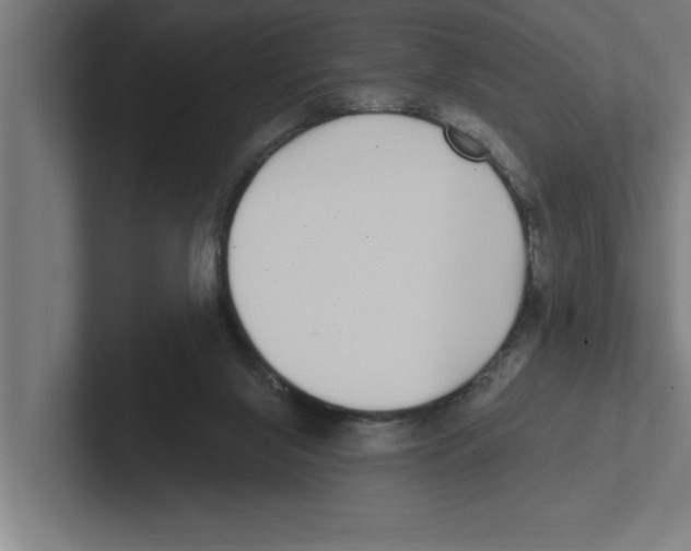 X0000102290071200808221405