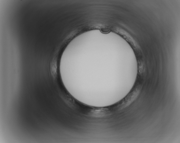 X0000102290072200808221405