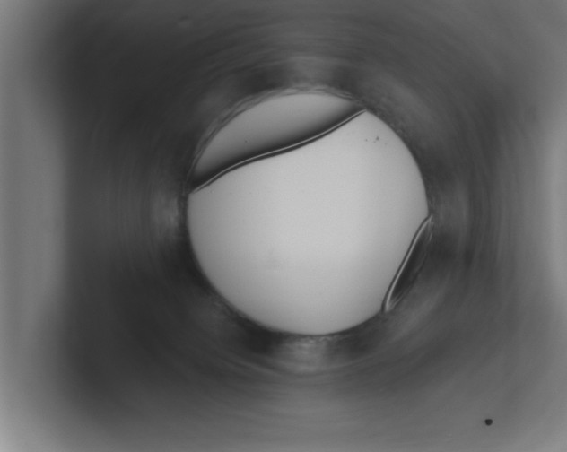 X0000102290084200808221406