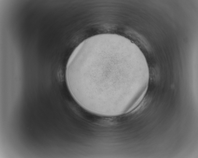 X0000102290086200808221406