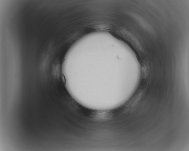 X0000102290093200808221406