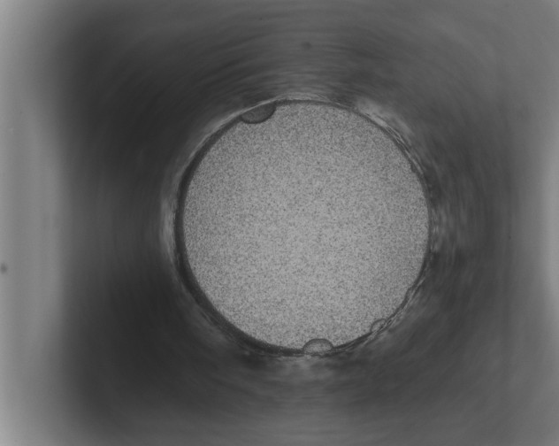 X0000102290098200808221405