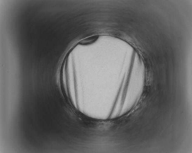 X0000102290099200808221405